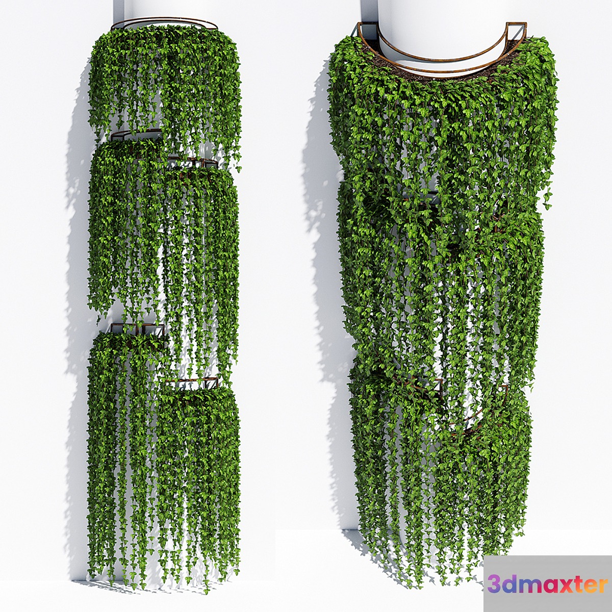 Round box ivy 3D Max