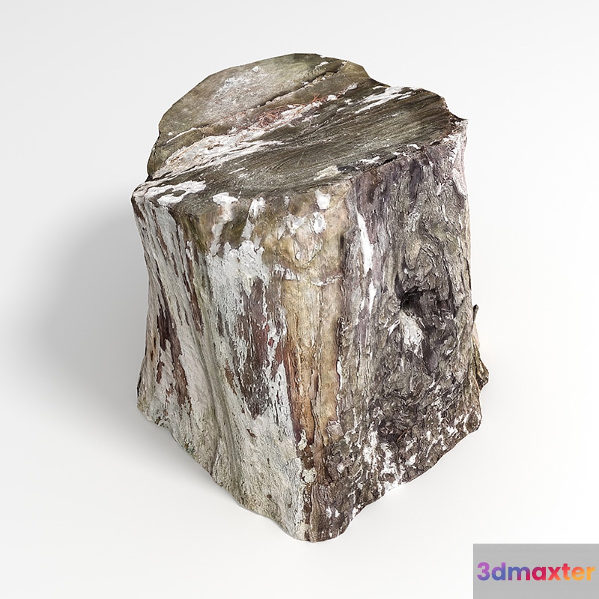 Stump 3D Max