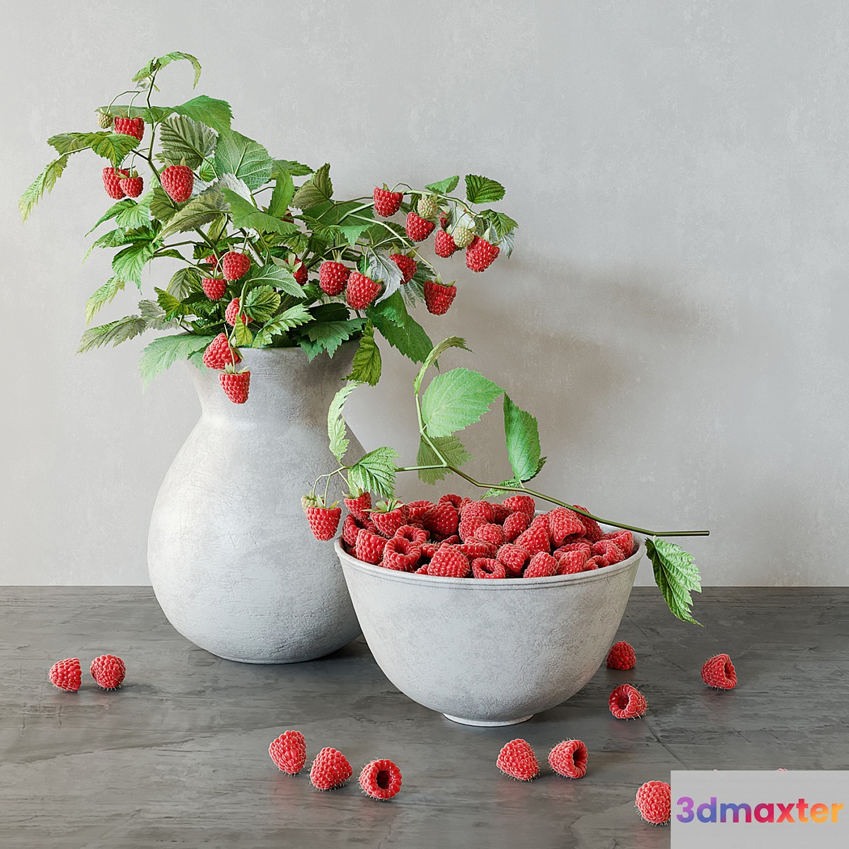 Raspberries 3D Max