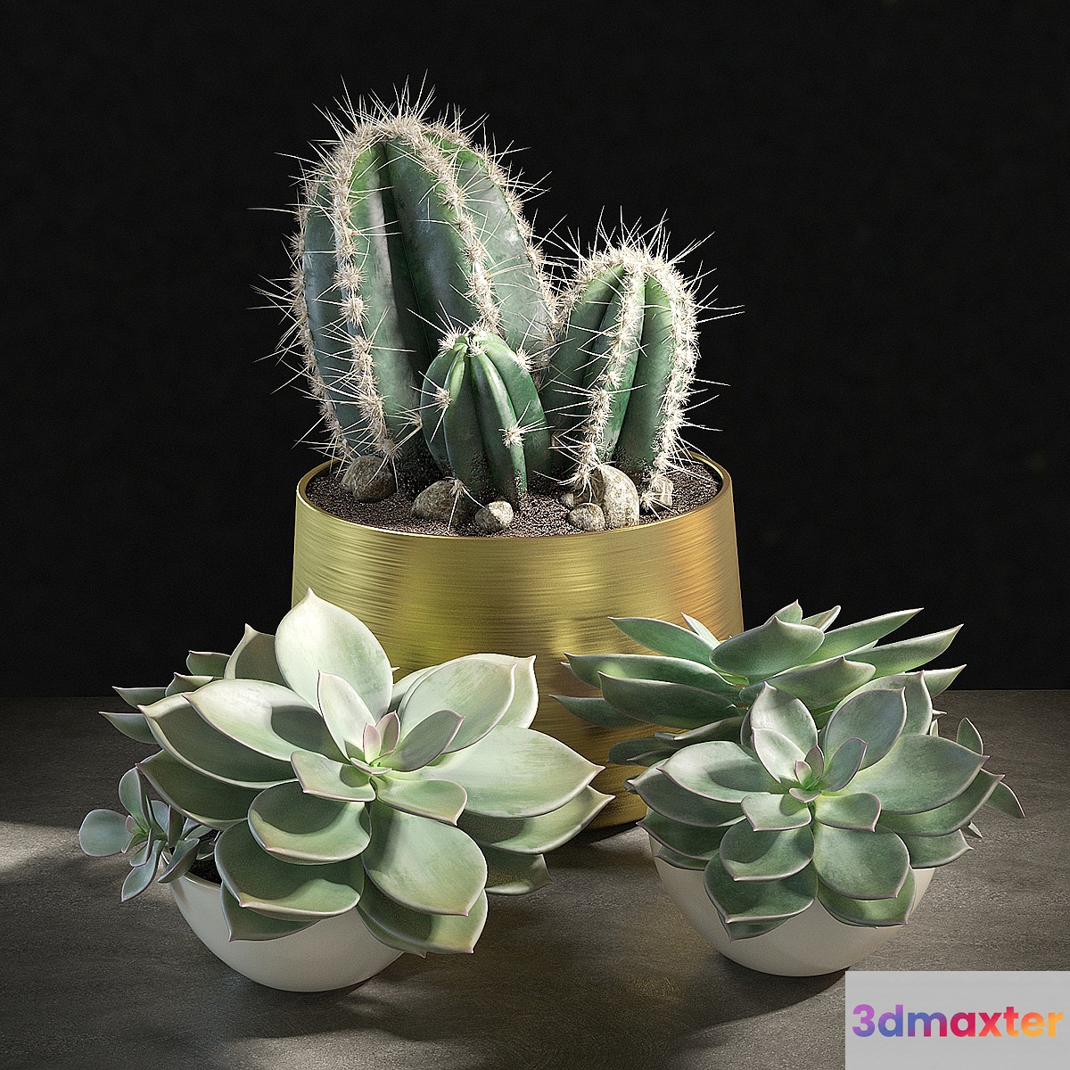 Set of plants 01