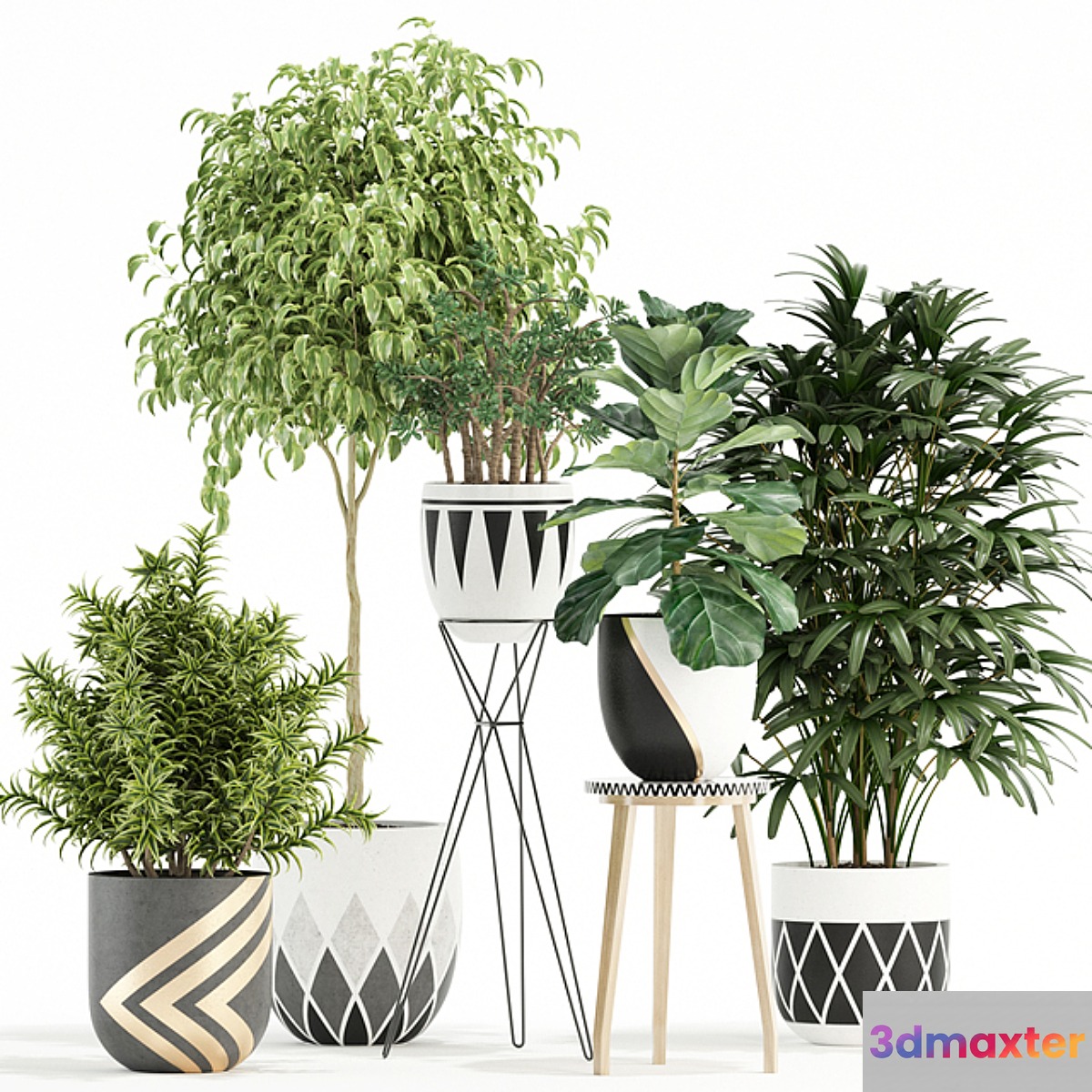 Plants collection 112