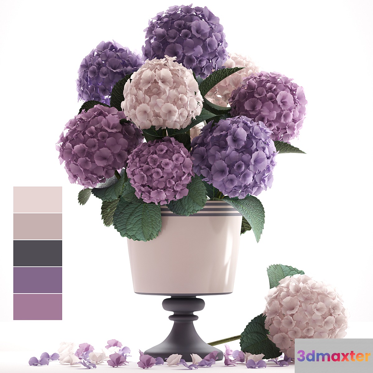 Collection of flowers 55. Hydrangea blue flowers flower vase branch