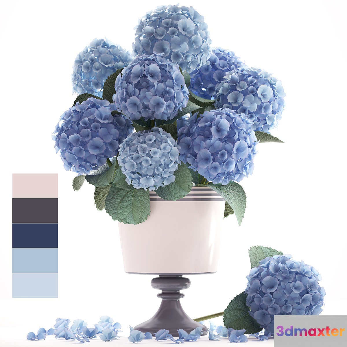 Collection of flowers 56. Hydrangea blue flowers flower vase branch 3D Max