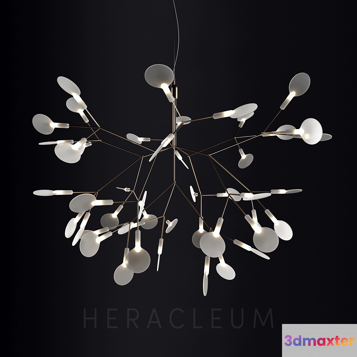 Chandelier Moooi Heracleum II Small 3D Max