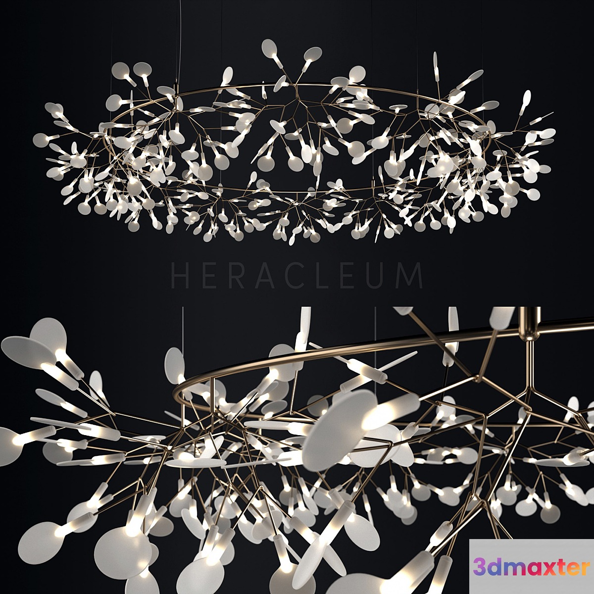 Chandelier Moooi Heracleum the Big O - No.3