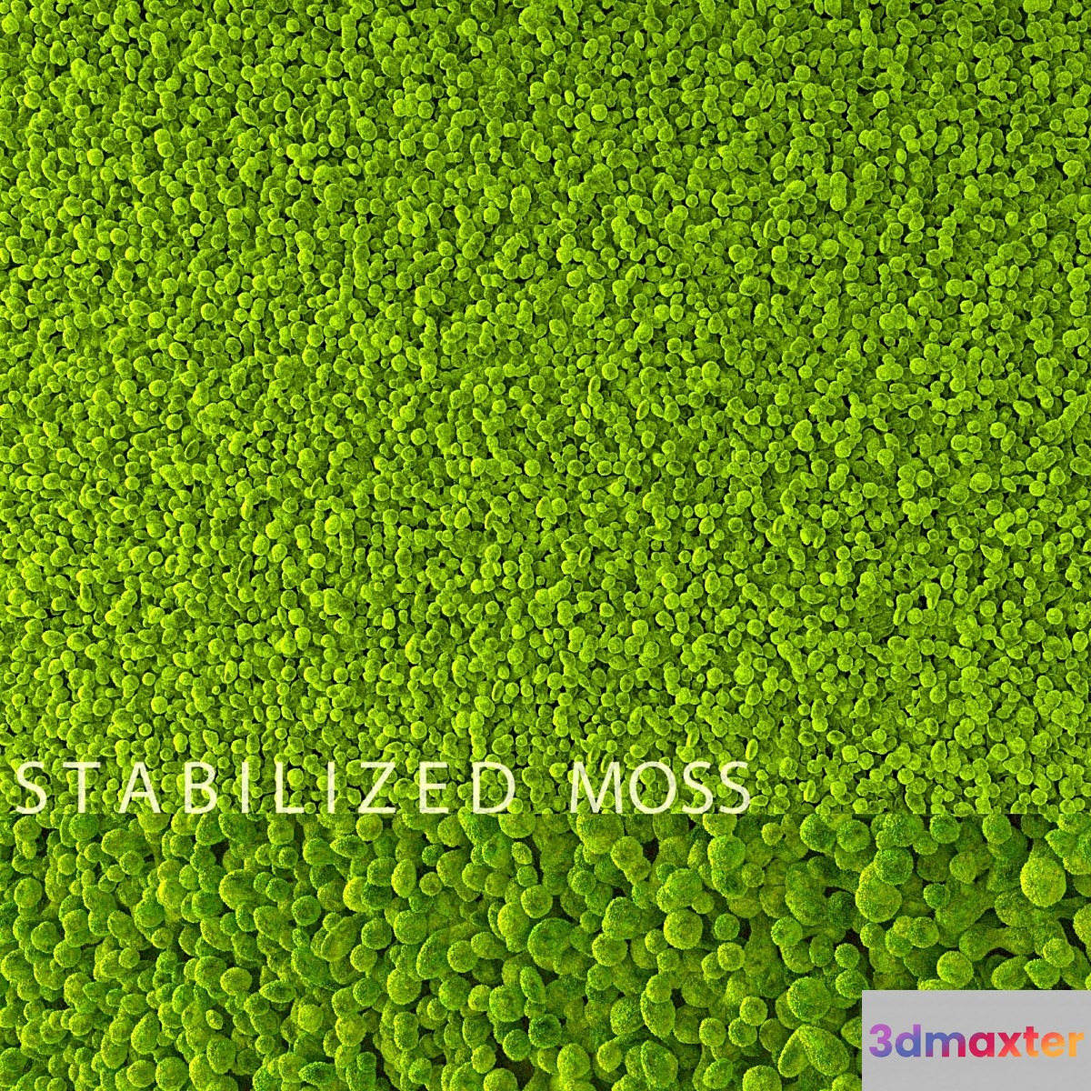 Stabilized Moss 3D Max