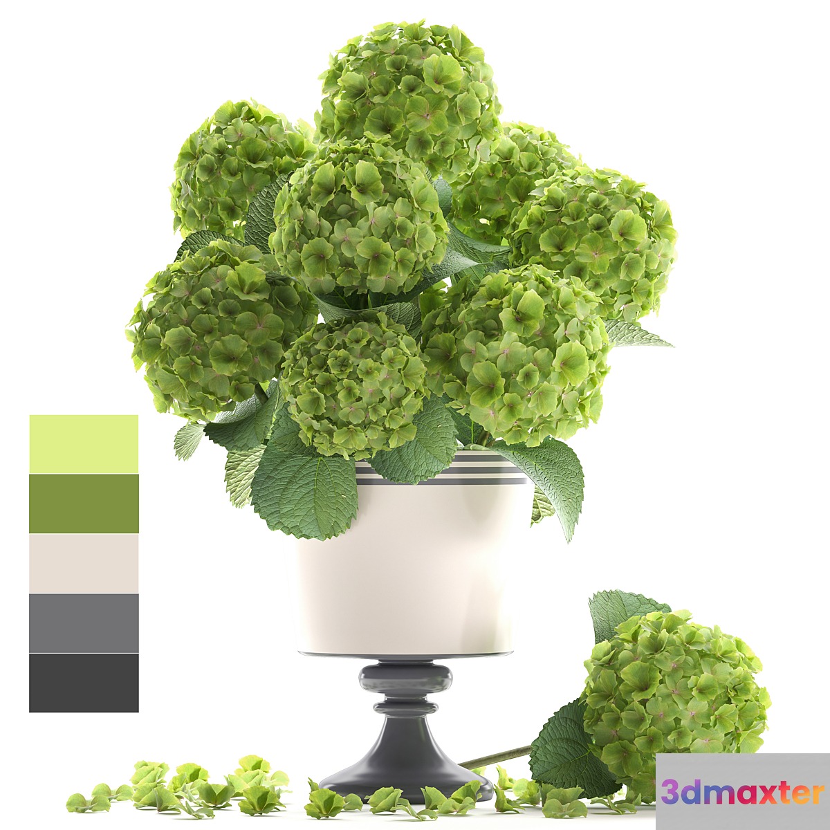 Collection of flowers 60. Hydrangea bouquet green flowers vase decor