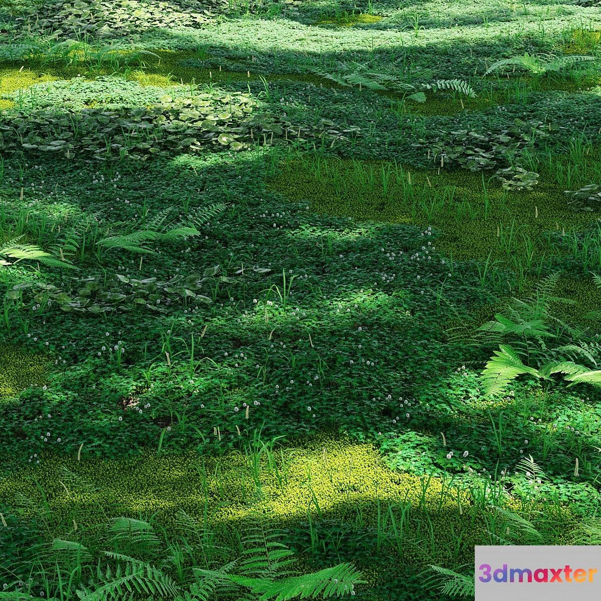 Forest plants 3D Max