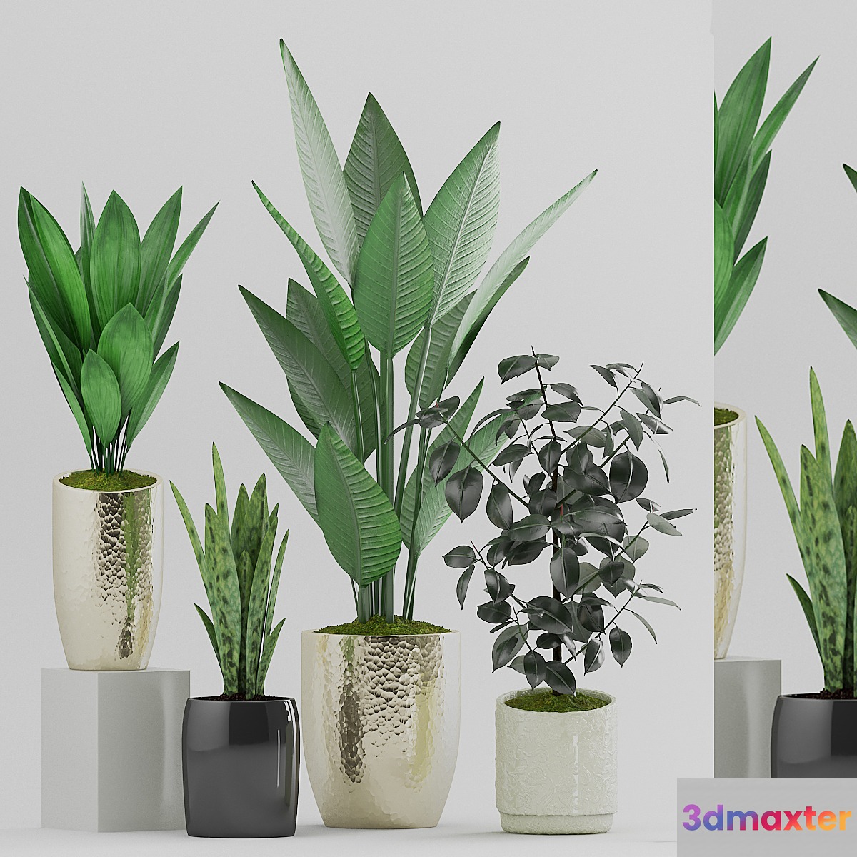 Plant 89 - No.3