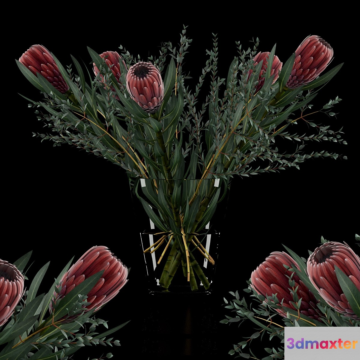 Protea & Eucalyptus parvifolia 3D Max