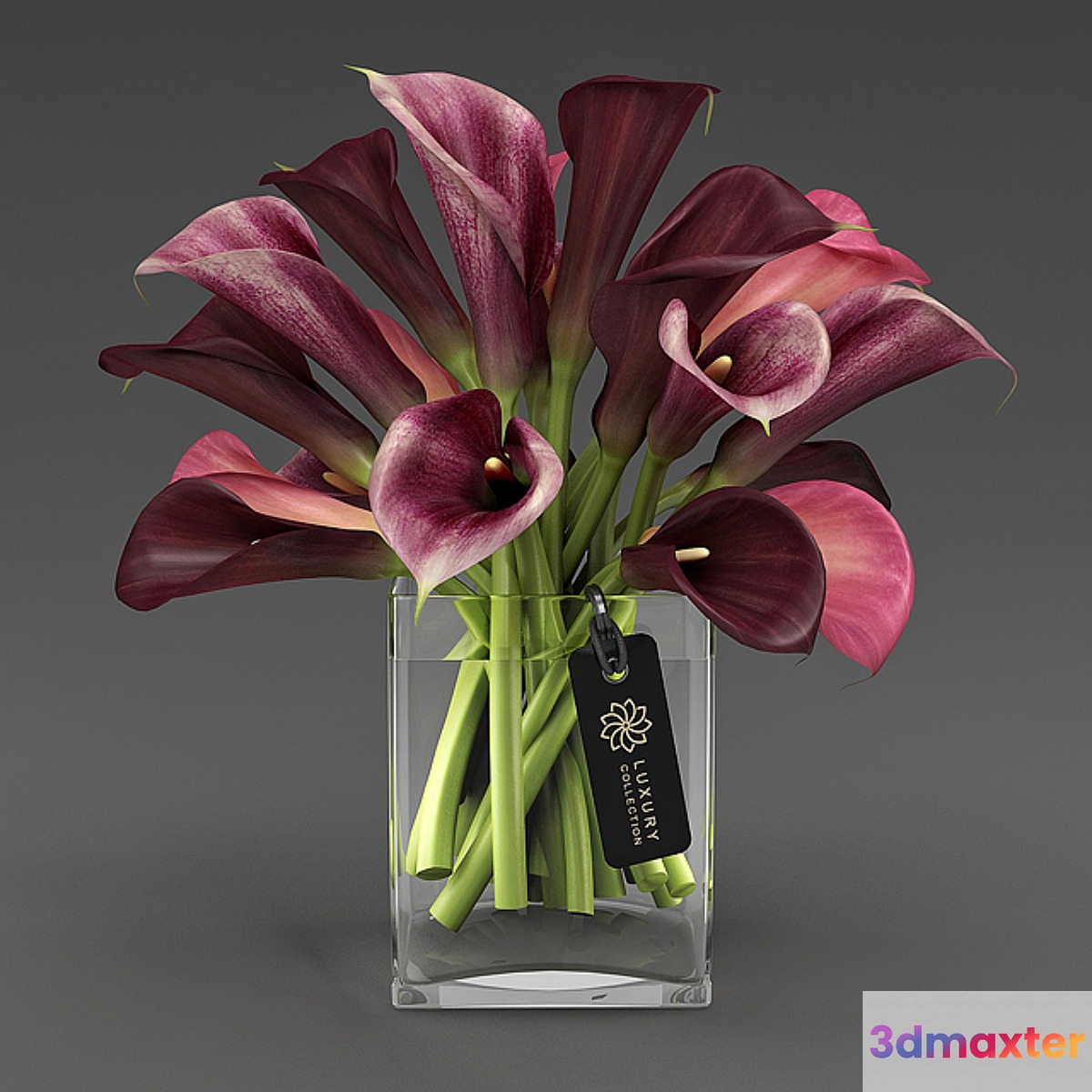 Calla_04_4 3D Max