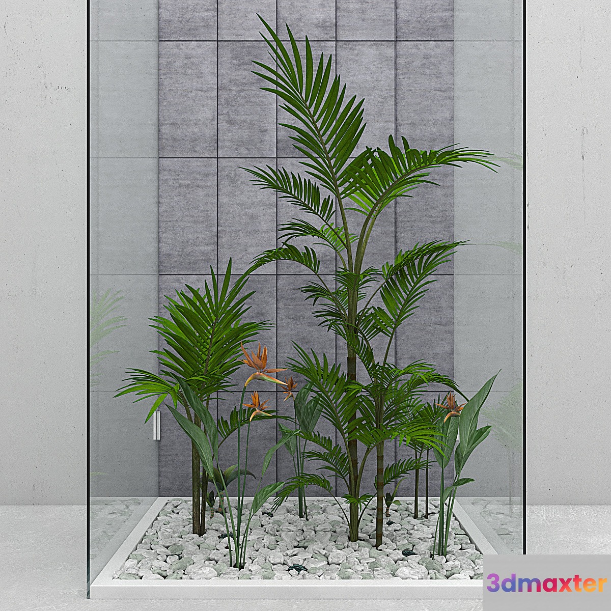 Flowers and plants set