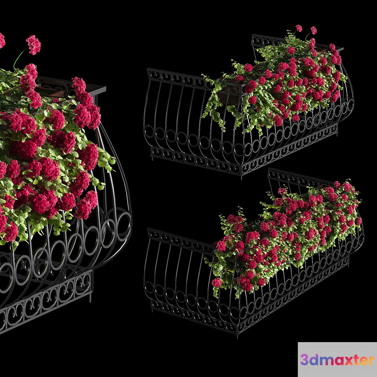 Plant geranium for the facade