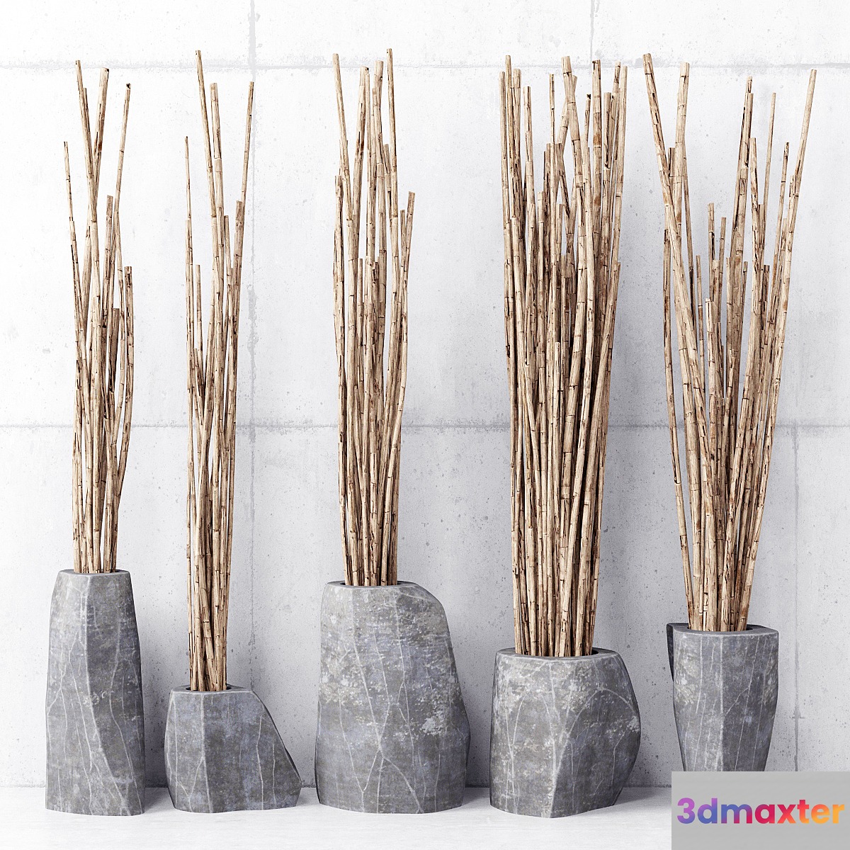 Branches in vases