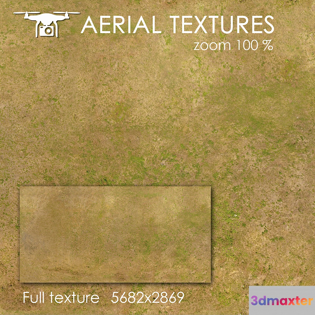 Grass 23 3D Max