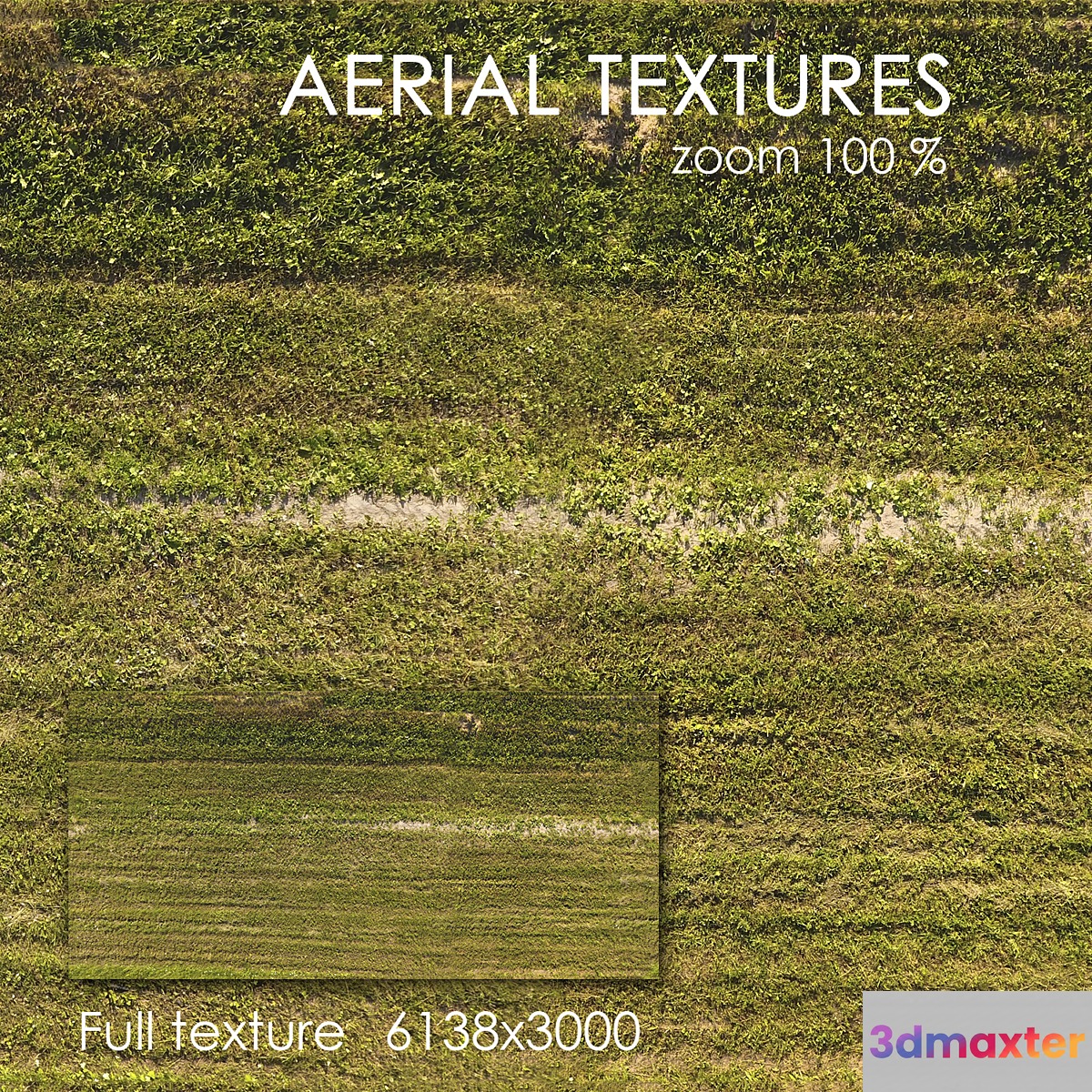 Field with grass 51 3D Max