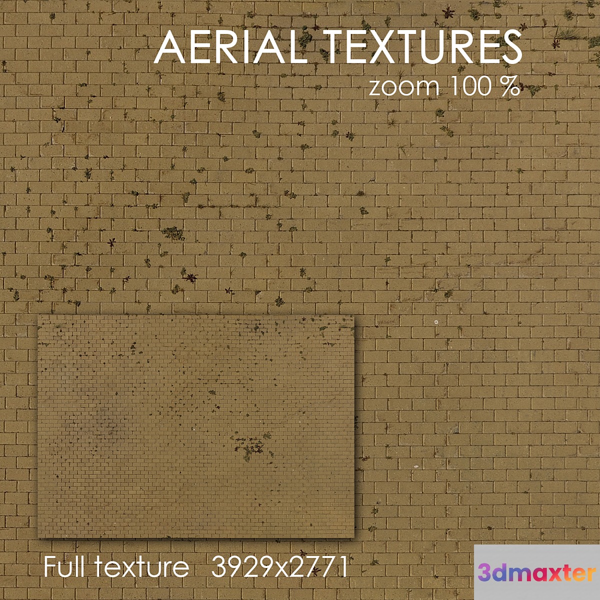 Pavement tile 52 3D Max