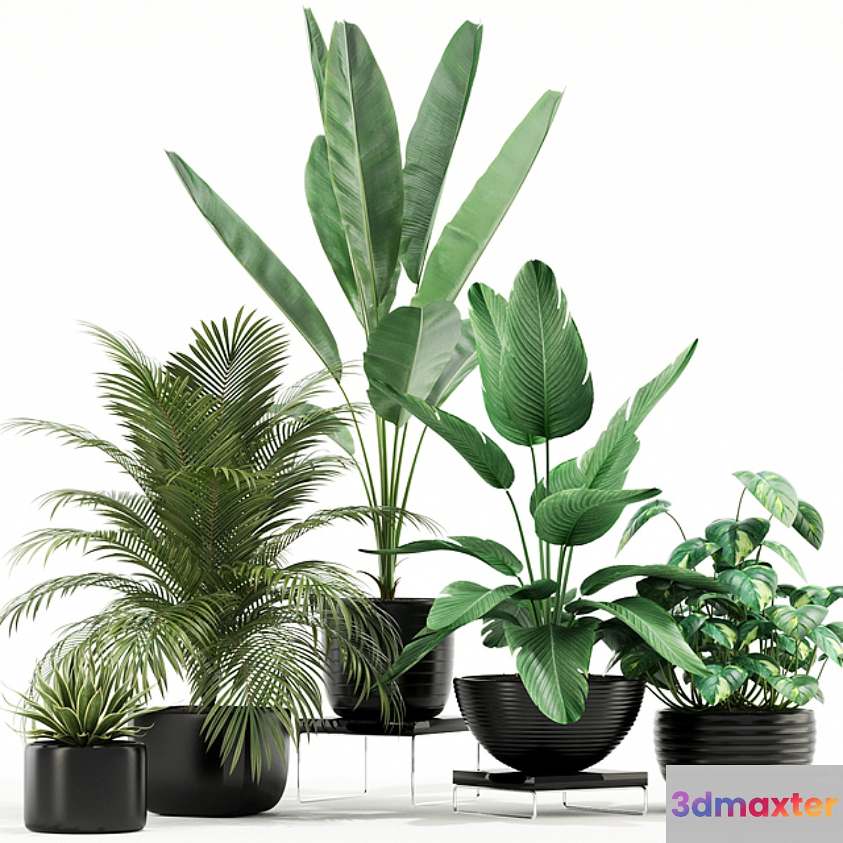 Plants collection 119 3D Max