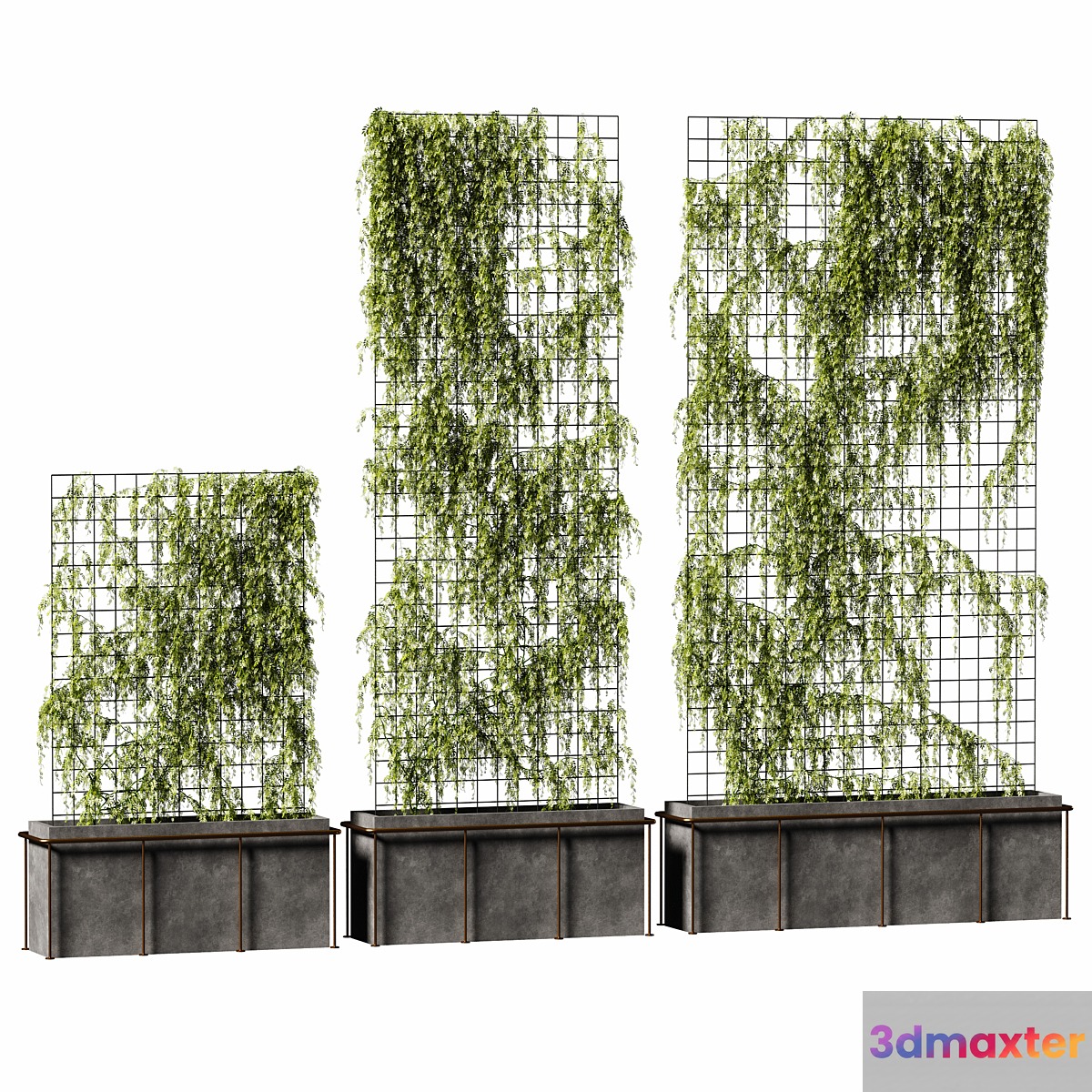 The plant on the grid. 3 models