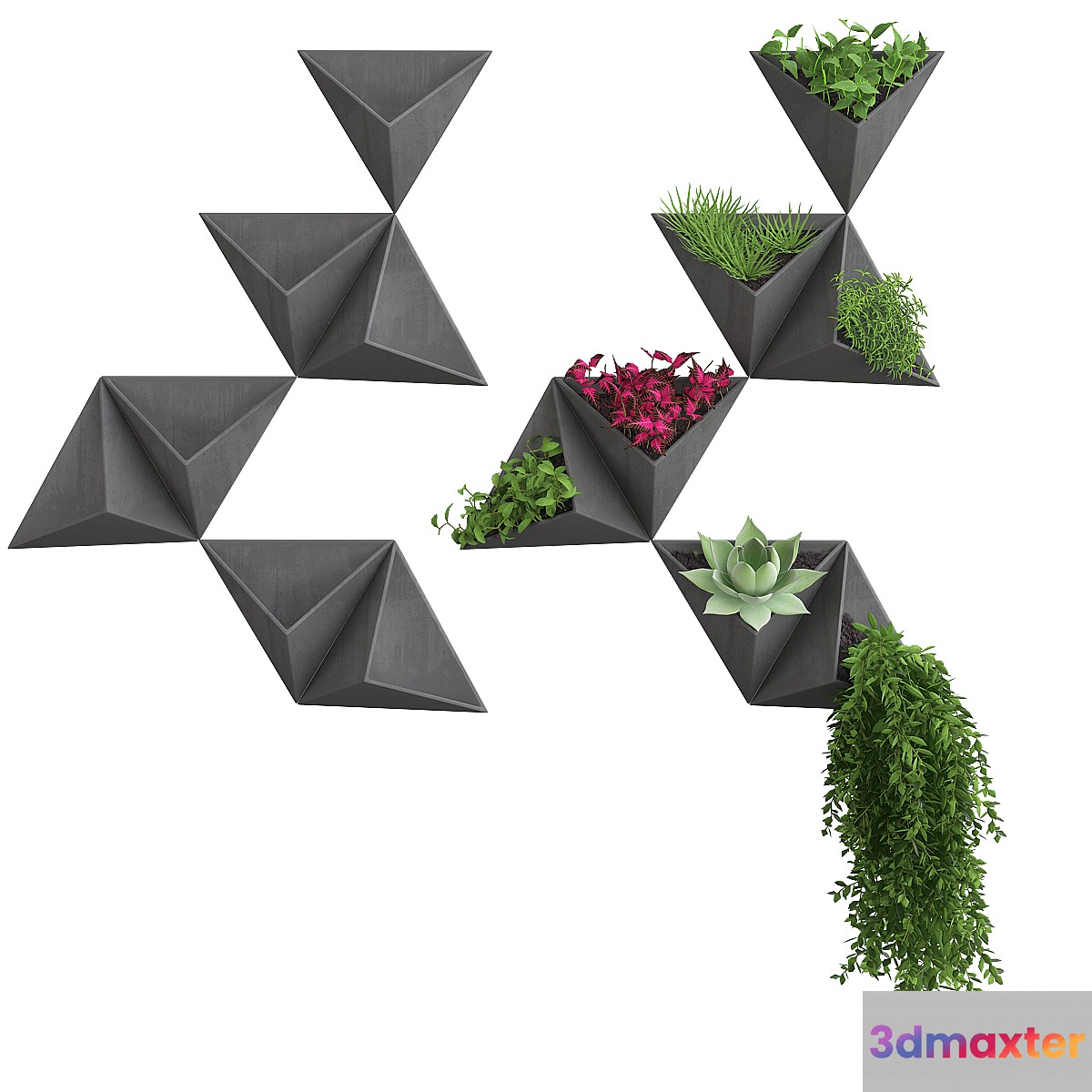 Wall flowers