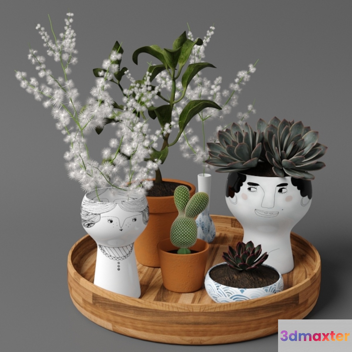Plants tree 41