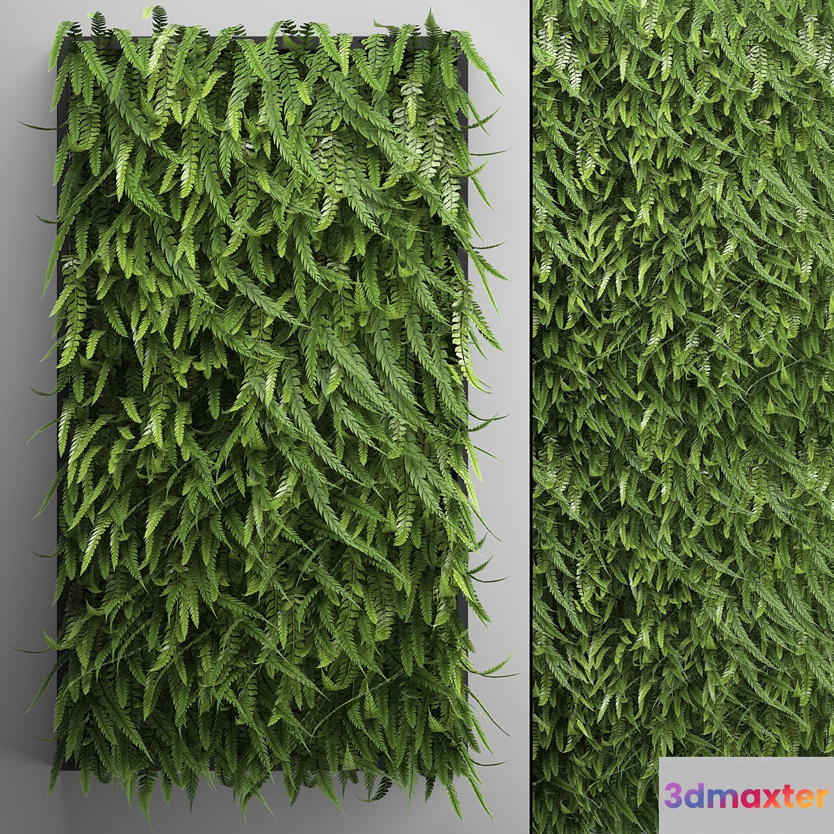 Vertical garden 17. FERN. Fern phytowall wall decor phytomodule bushes