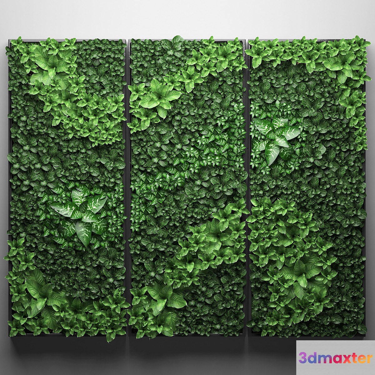 Vertical garden 20. Landscaping painting phytowall phytomodule wall decor