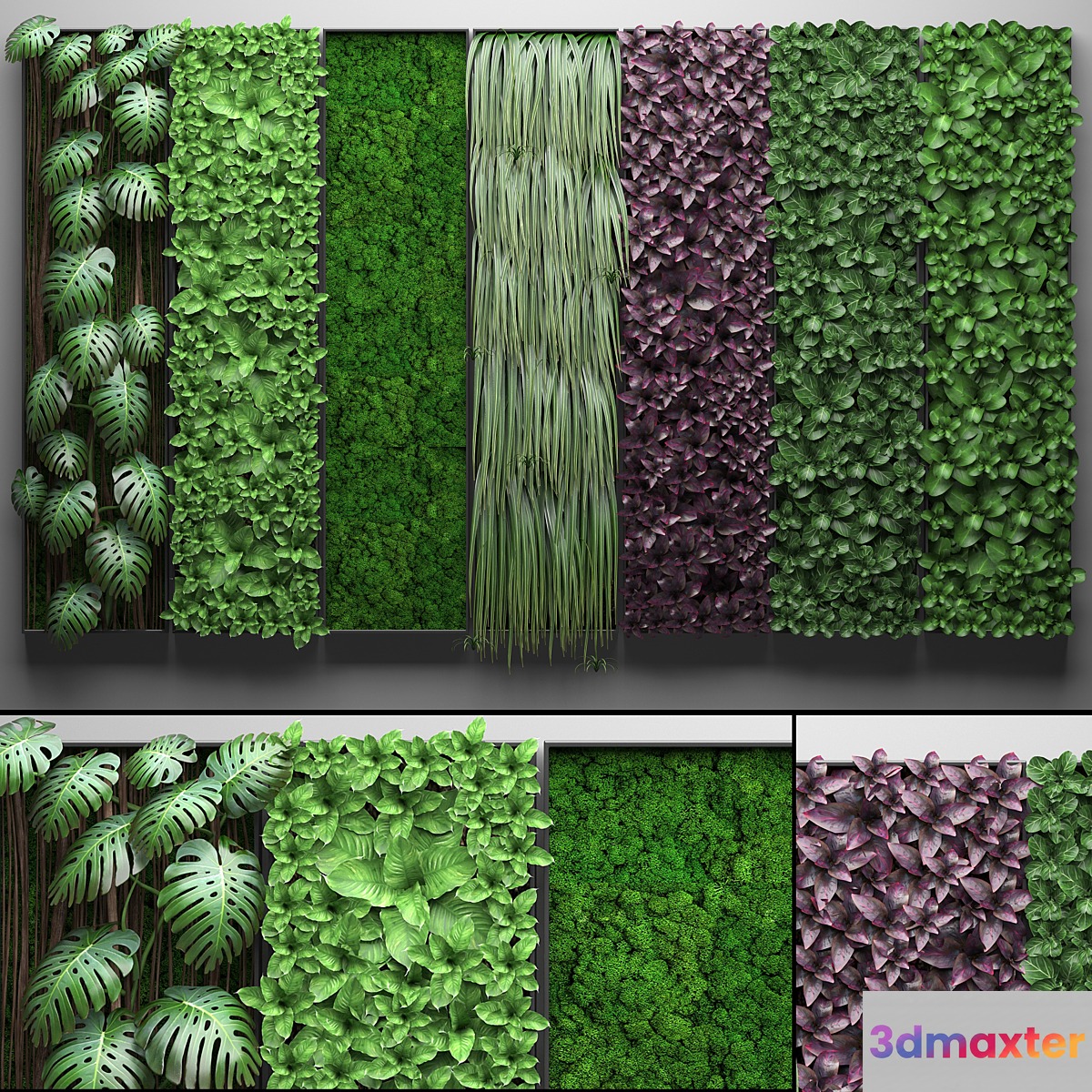 Vertical garden 21.Seven separate modules phytowall phytomodule wall decor landscaping 3D Max