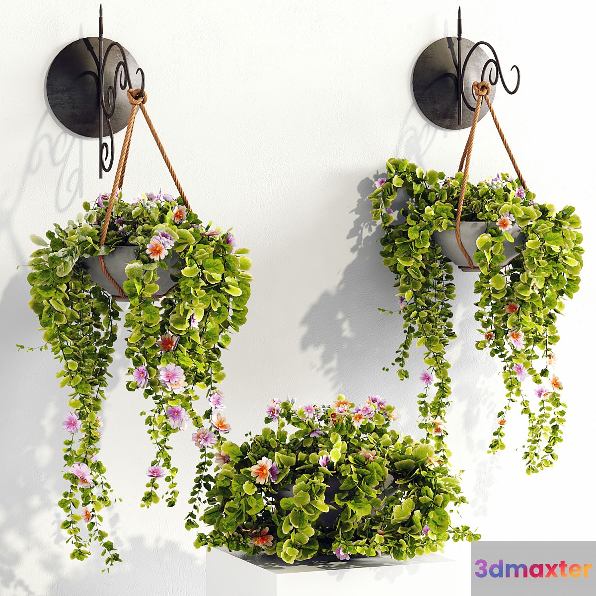 Plant pots - No.2