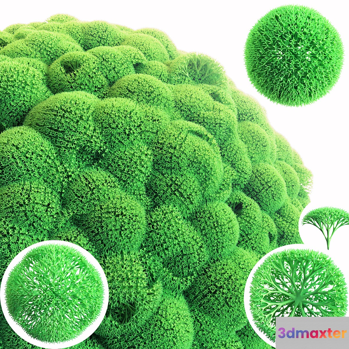 Stabilized Moss 3D Max