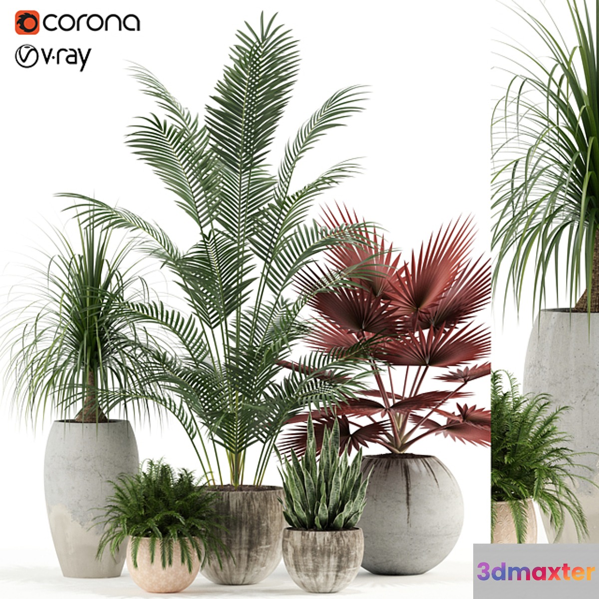 Plants collection 122 3D Max