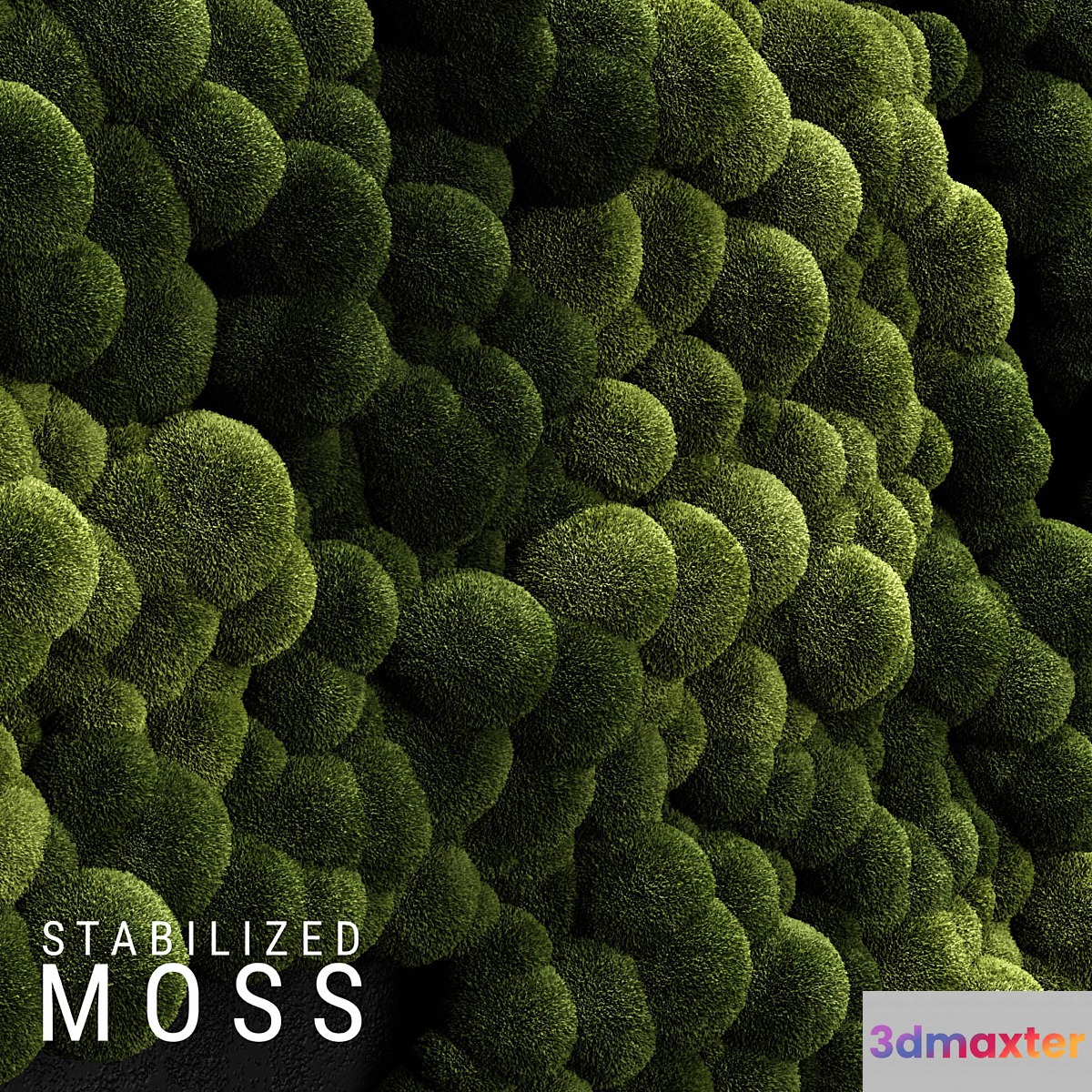 Stabilized Moss 3 - No.2