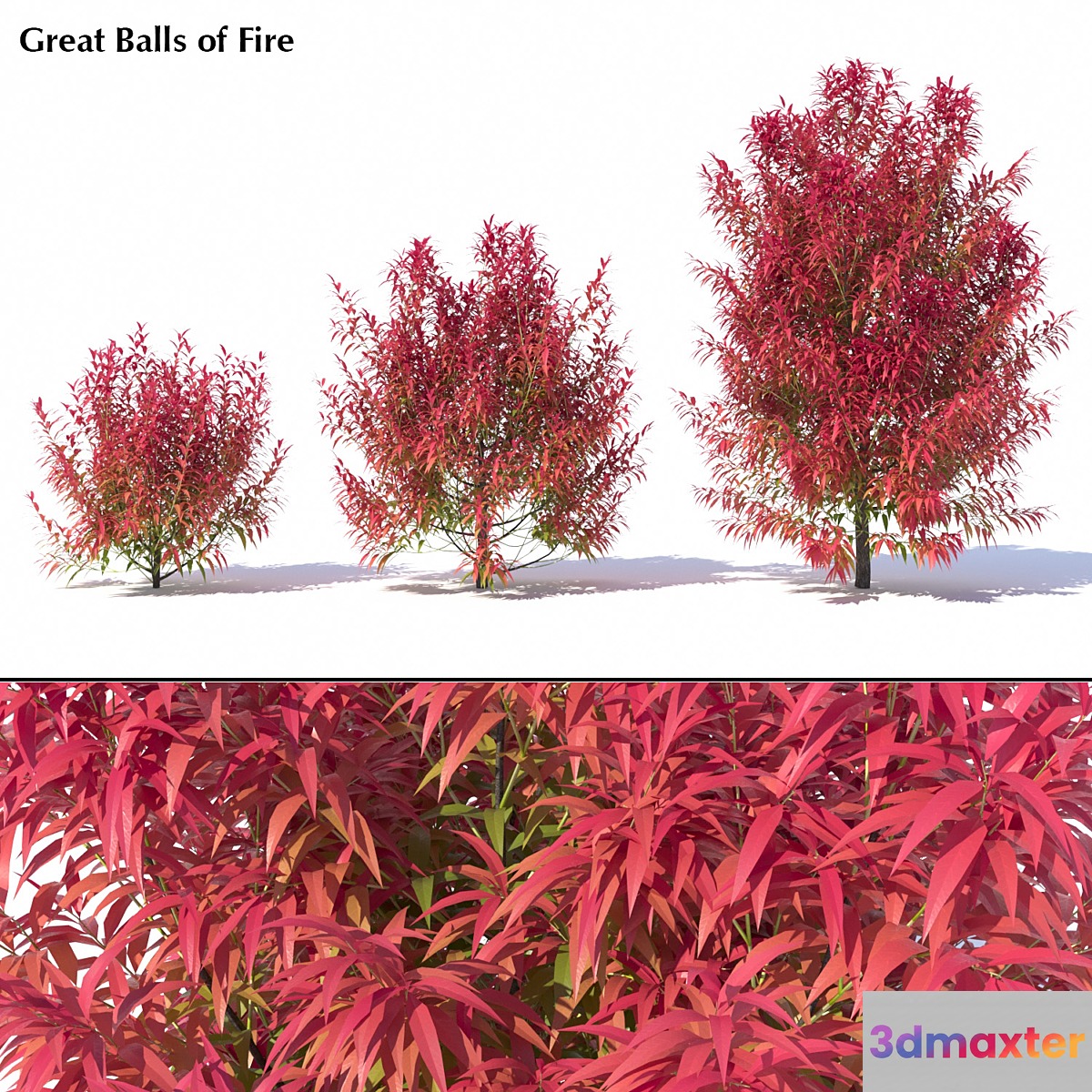 Great Balls of Fire 3D Max
