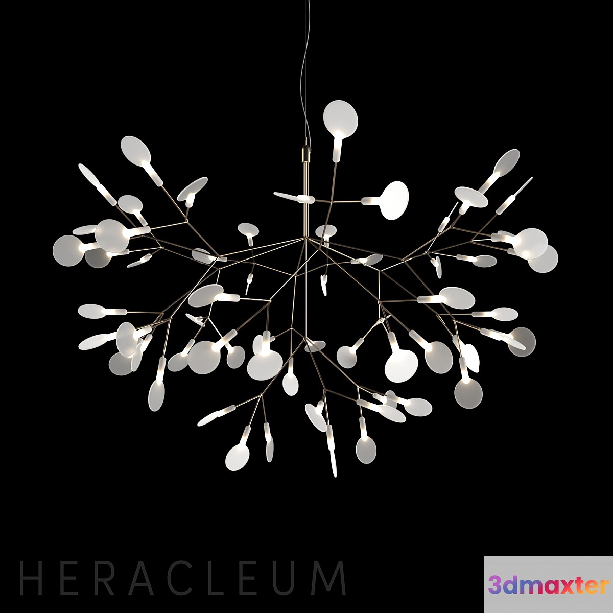 Chandelier Moooi Heracleum II 3D Max