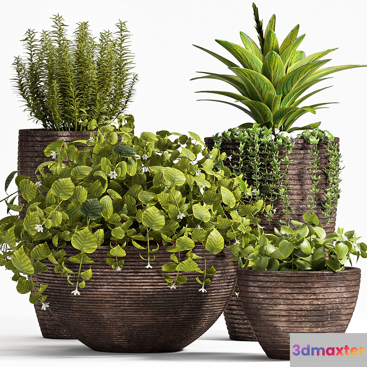 PLANT SET -101 3D Max