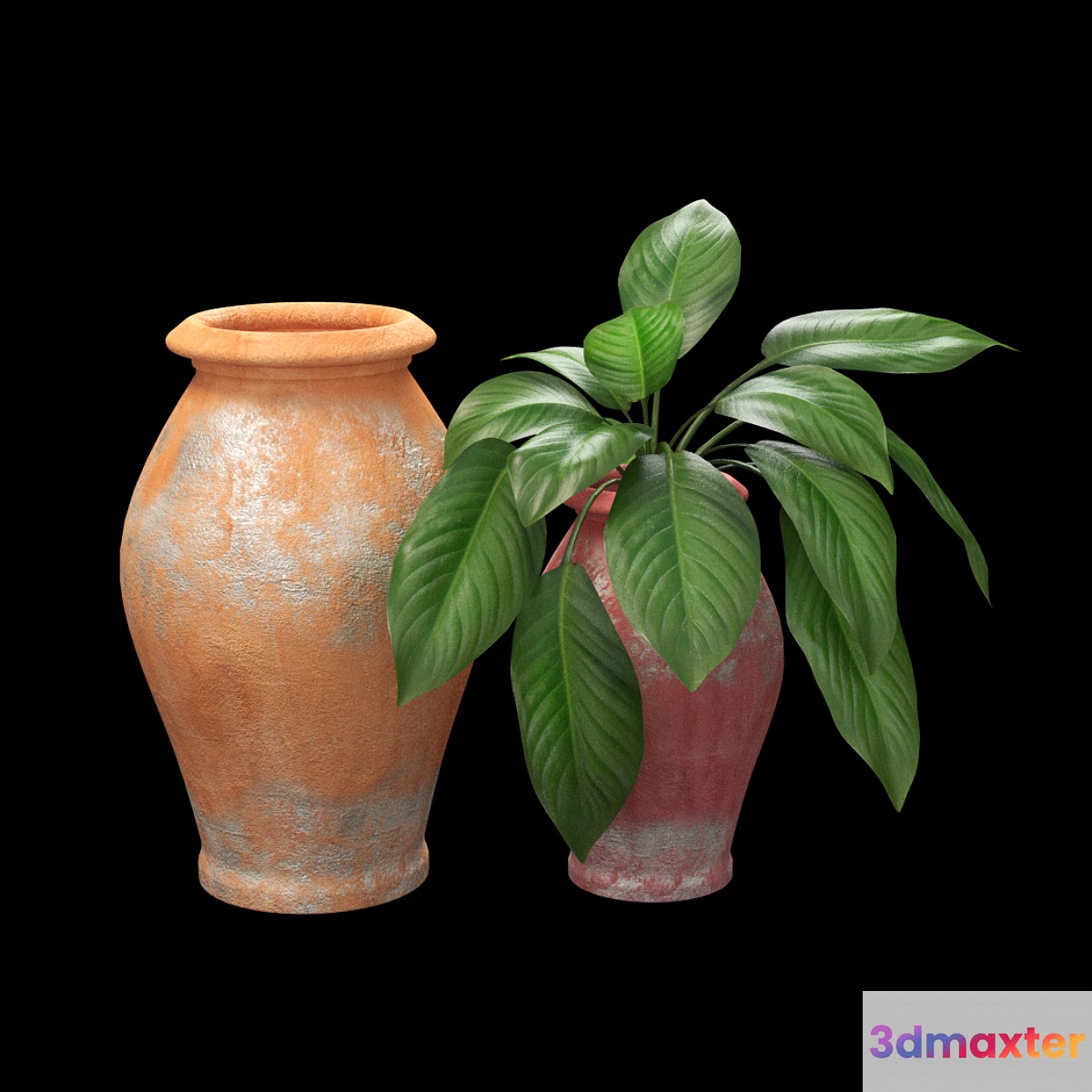 pot1145 3D Max