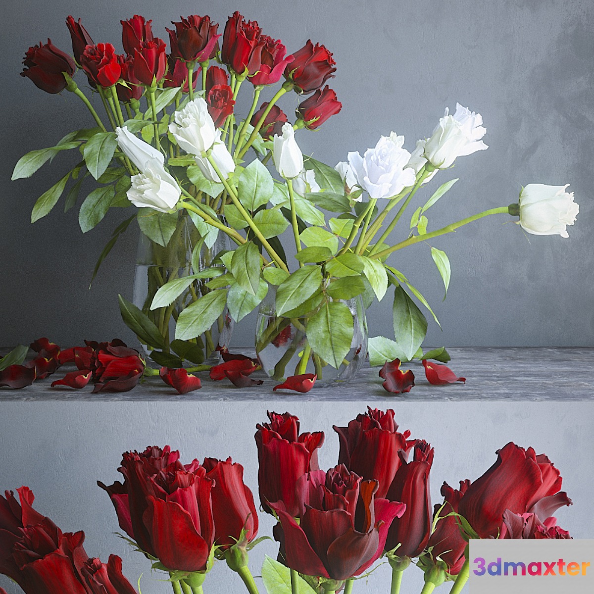 Red and white roses - No.2