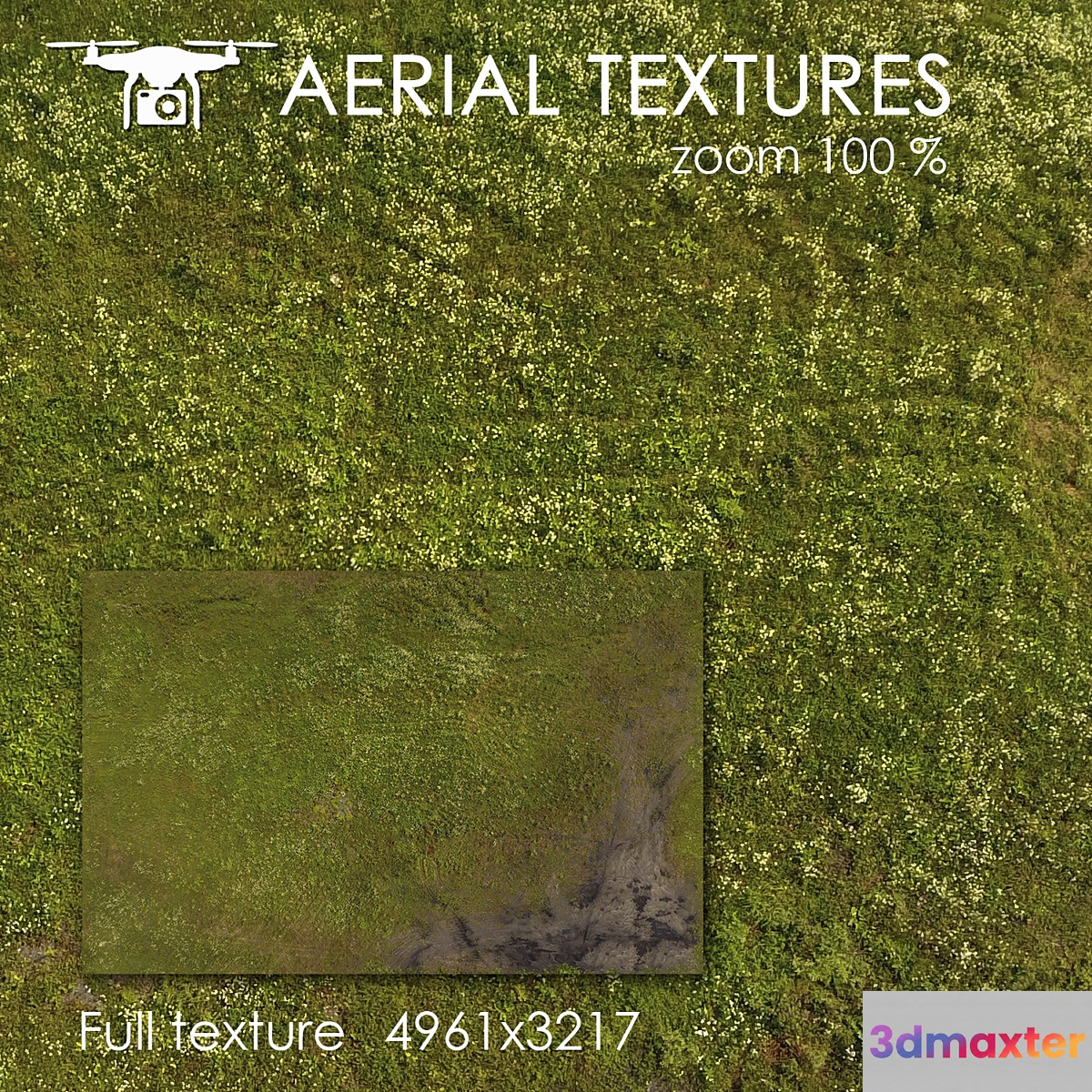 Field 101 3D Max