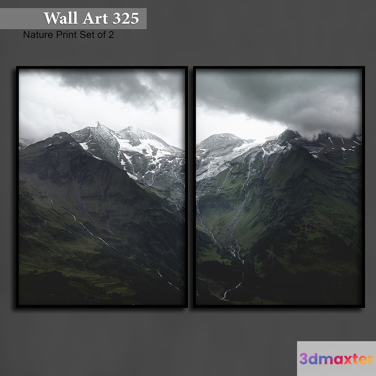 Paintings 325 3D Max