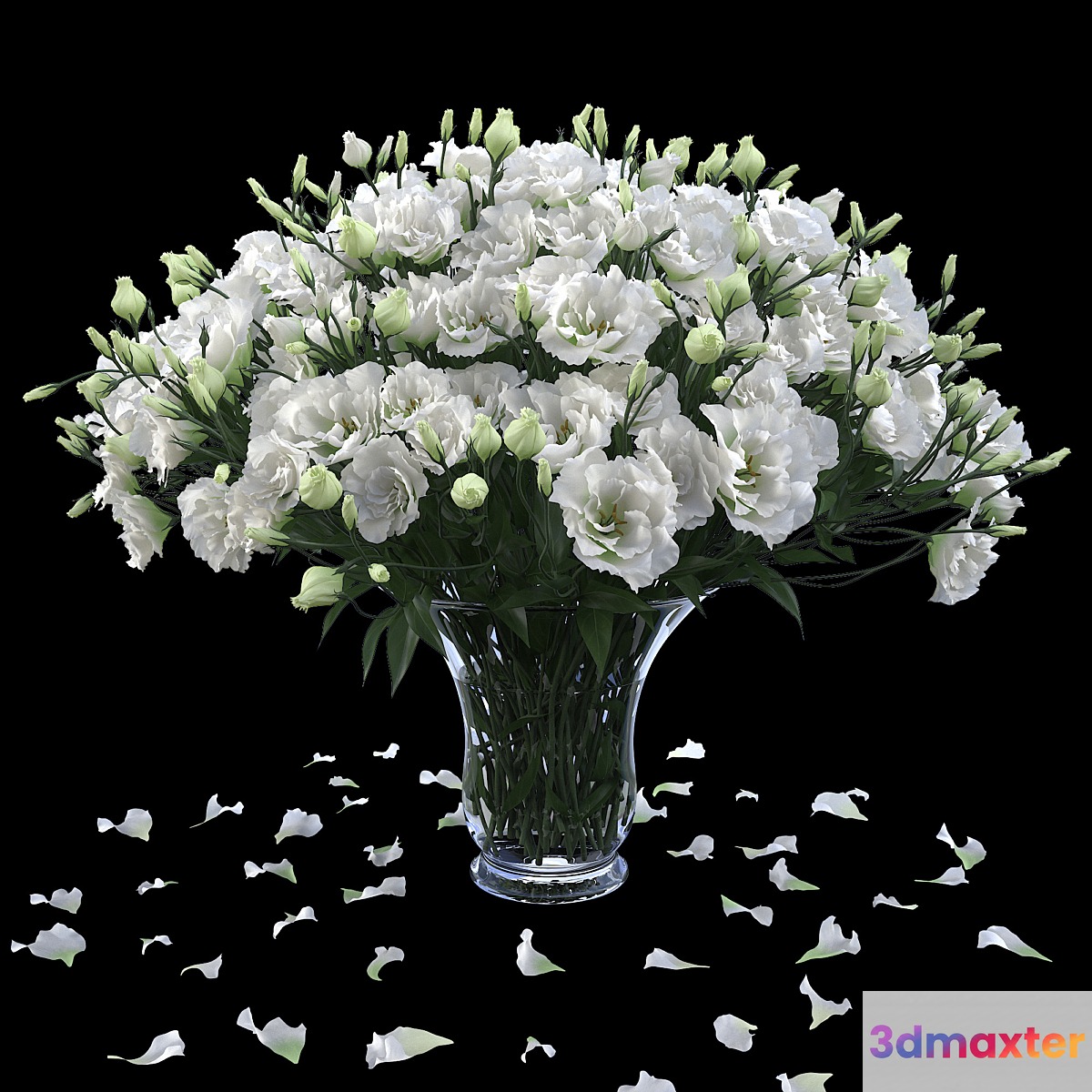 Eustoma 2 3D Max