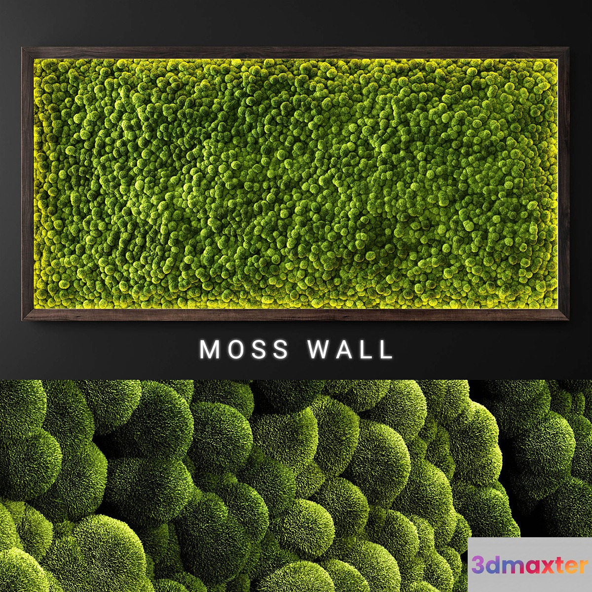 Moss wall 2