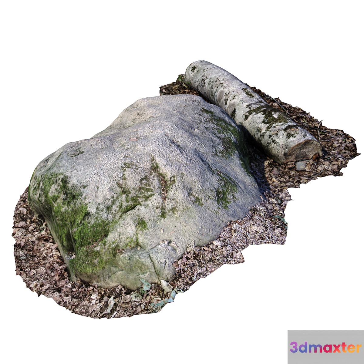 Stone with a log 3D Max