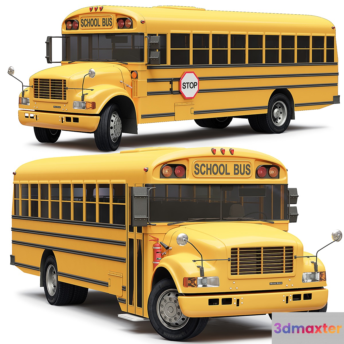 School Bus Blue Bird 3D Max
