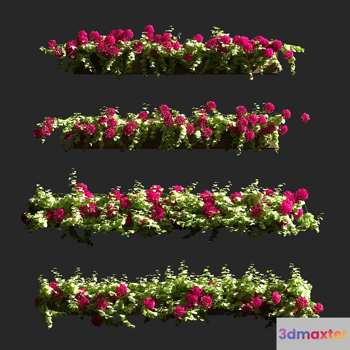 Plant Geranium Facade v2 3D Max