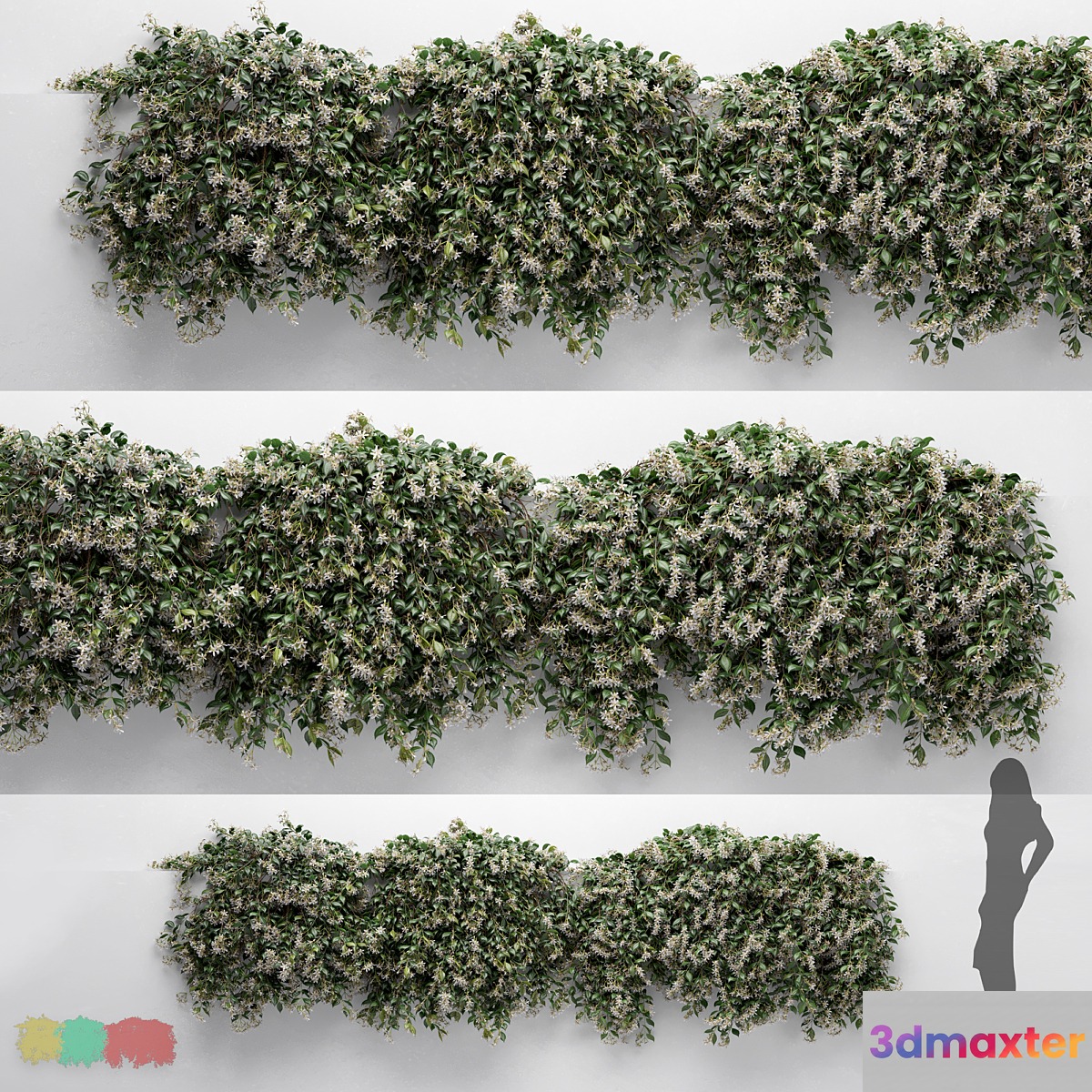 Hanging Plant - ChoisyaTernata - 3 Modular Pieces 3D Max