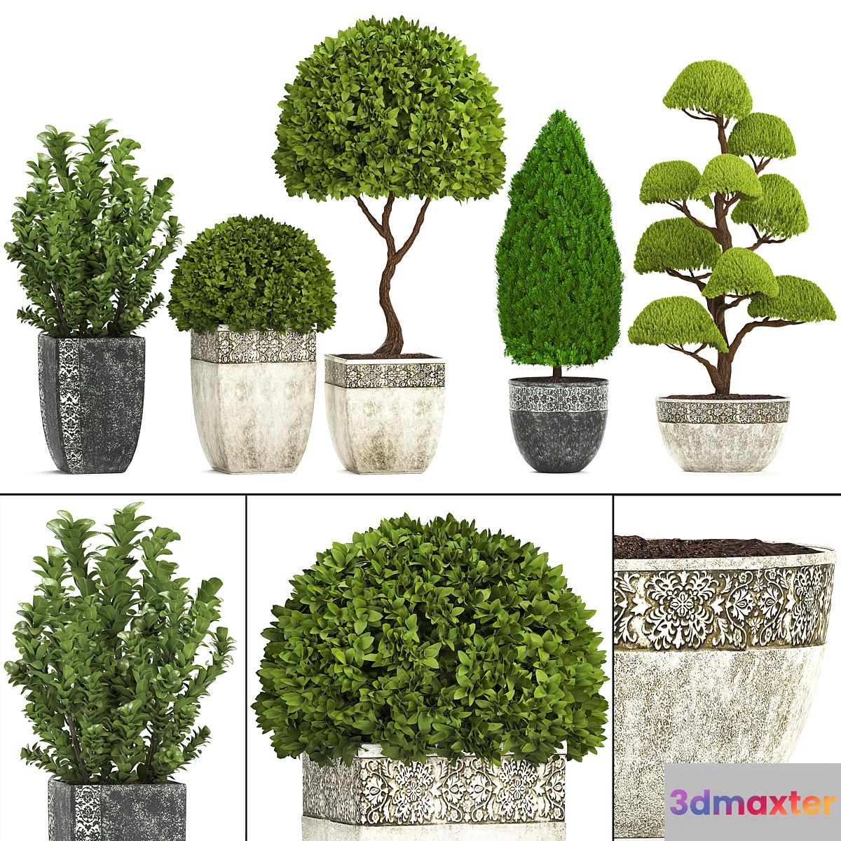 Plant collection 239. Garden plants landscape design classic flowerpot trees topiary boxwood - No.2 3D Max
