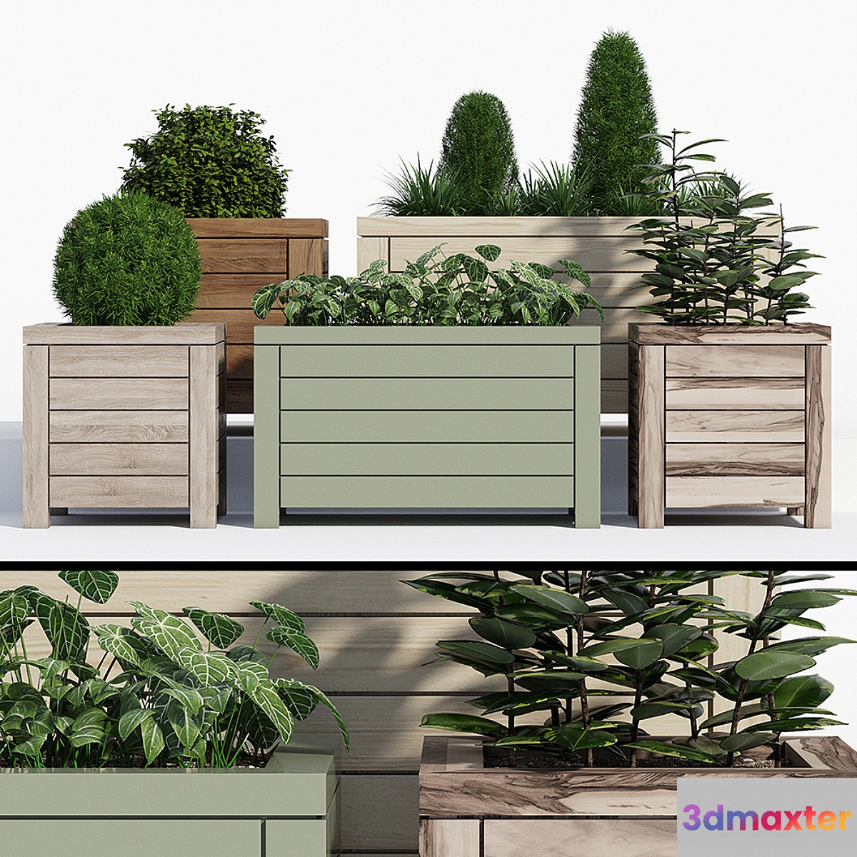 Contemporary 3D Max