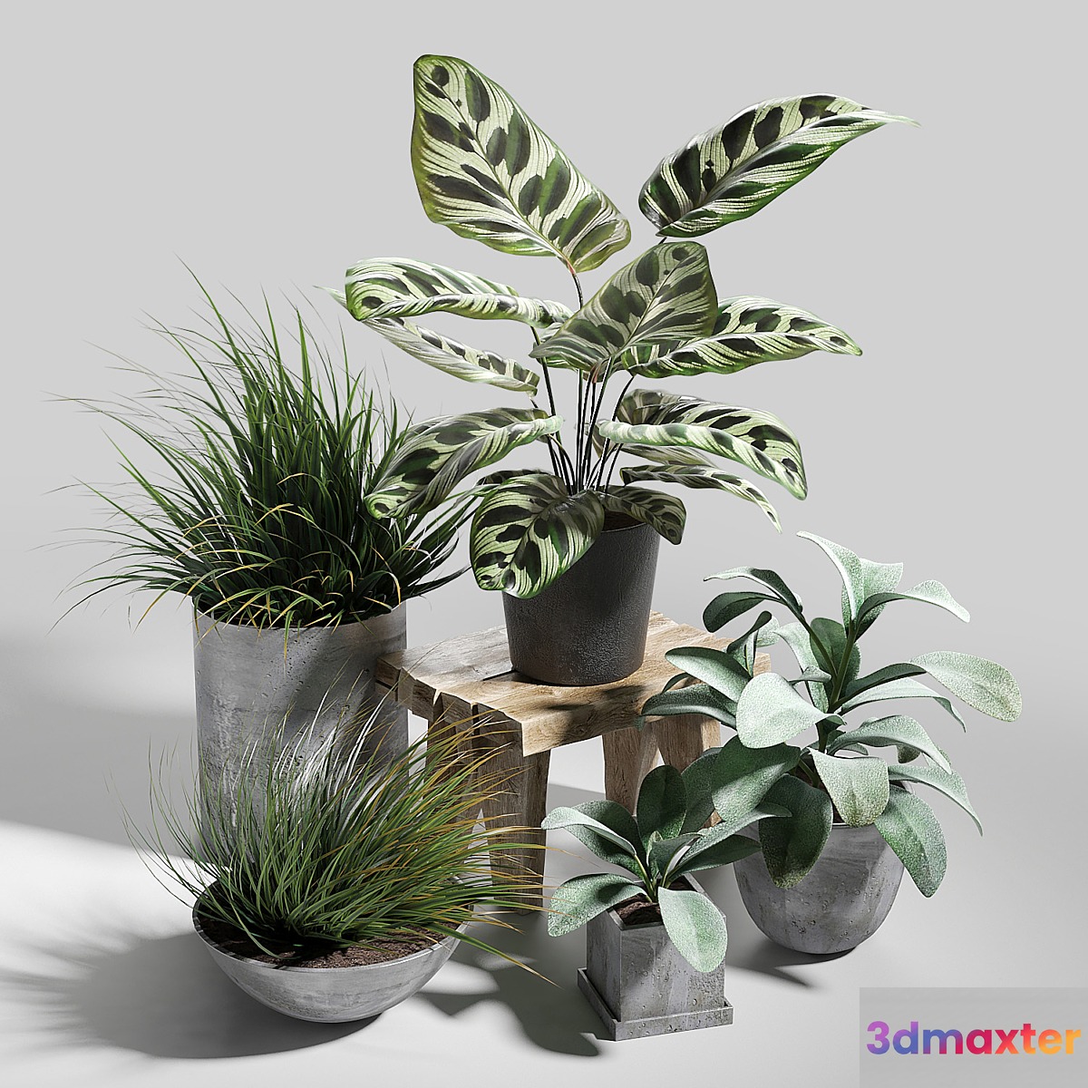 Plant set 03
