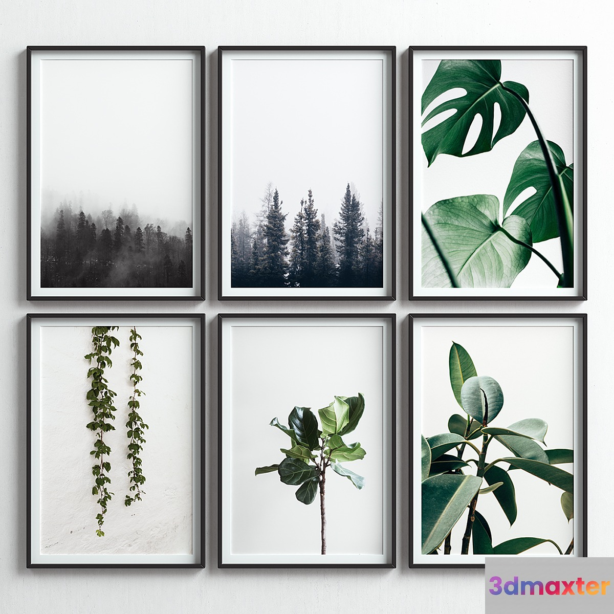 Picture Frames Set-47 - No.2