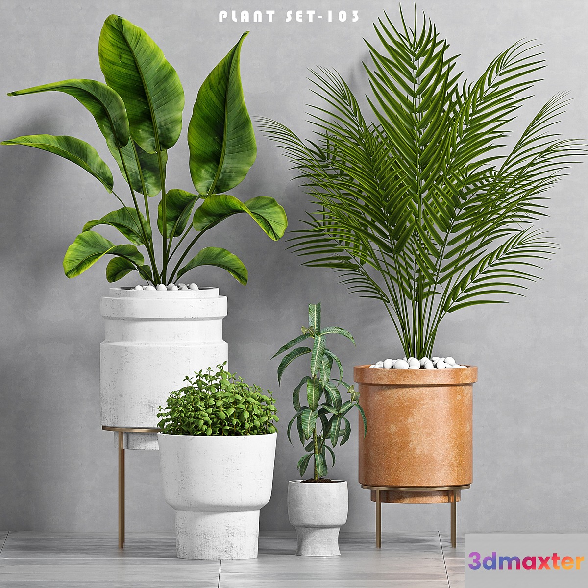 PLANT SET -103 - No.4
